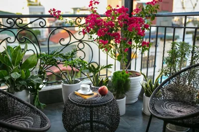 Hanoi La Cascada House & Travel – Photos 4